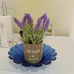 Appartement Center